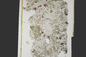 Plane Polarized, S26940