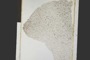 Plane Polarized, S26943