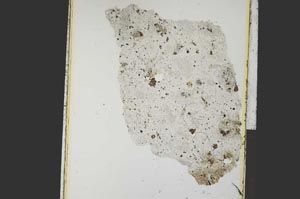 Plane Polarized, S26945