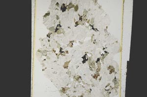 Plane Polarized, S26947