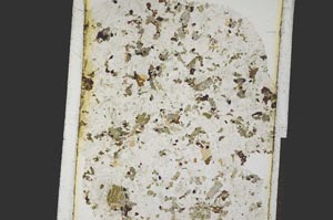 Plane Polarized, S26951