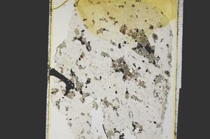 Plane Polarized, S26952