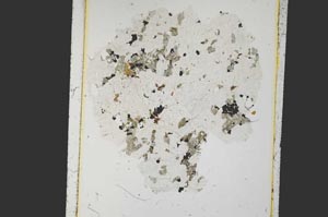 Plane Polarized, S26958
