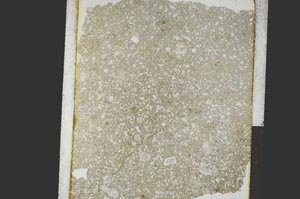 Plane Polarized, S26965