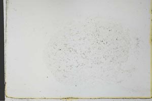 Plane Polarized, S26981