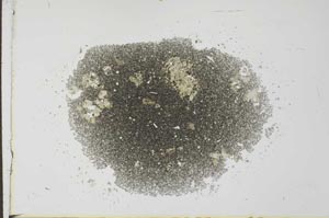 Plane Polarized, S26984
