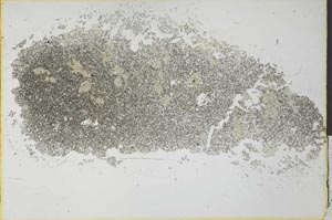 Plane Polarized, S26986