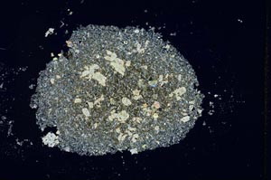 Cross Polarized, S26988