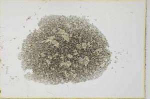 Plane Polarized, S26988