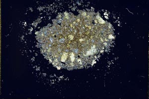 Cross Polarized, S26989