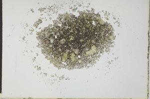 Plane Polarized, S26989