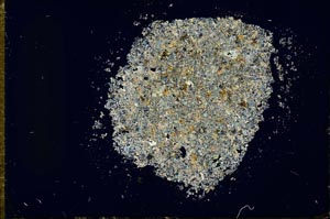 Cross Polarized, S26991