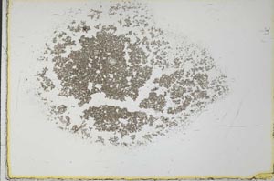 Plane Polarized, S26992