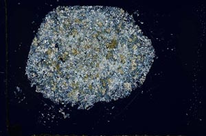 Cross Polarized, S27001