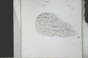 Plane Polarized, S27016