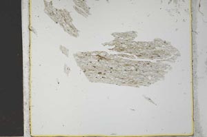 Plane Polarized, S27017