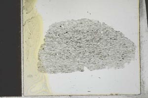 Plane Polarized, S27023