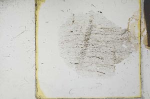 Plane Polarized, S27024