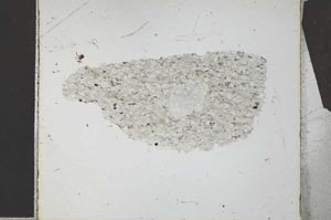 Plane Polarized, S27025