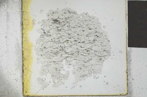 Plane Polarized, S27026