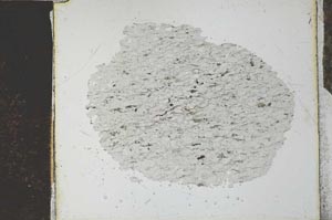 Plane Polarized, S27028