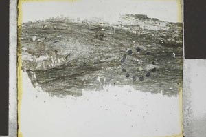 Plane Polarized, S27031