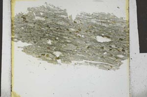 Plane Polarized, S27033