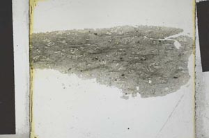 Plane Polarized, S27034