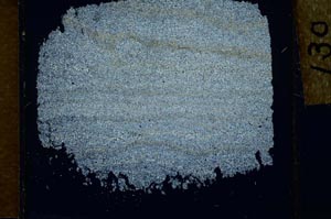 Cross Polarized, S27037