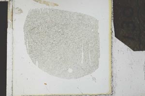 Plane Polarized, S27039
