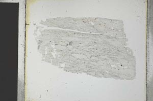 Plane Polarized, S27042