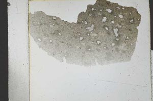 Plane Polarized, S27049