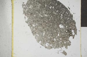 Plane Polarized, S27057