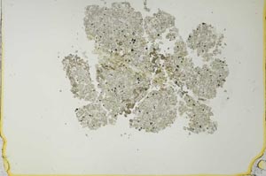 Plane Polarized, S27068