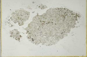 Plane Polarized, S27070