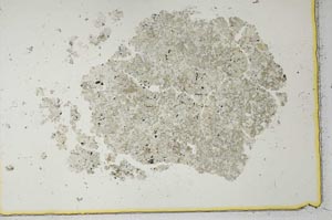 Plane Polarized, S27072