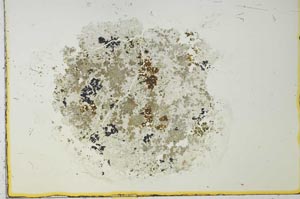 Plane Polarized, S27074