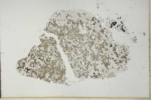 Plane Polarized, S27079
