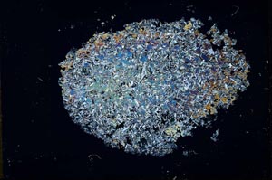 Cross Polarized, S27080