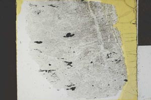 Plane Polarized, S27096