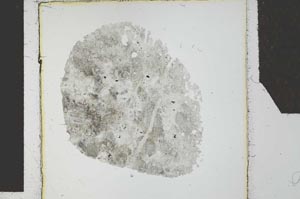Plane Polarized, S27104