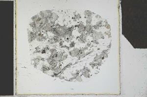Plane Polarized, S27105