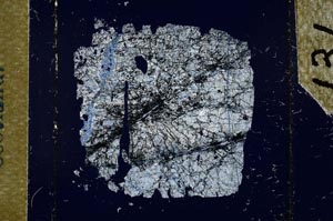 Cross Polarized, S27106