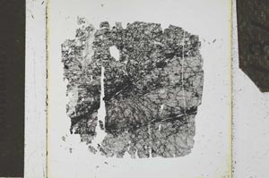 Plane Polarized, S27106