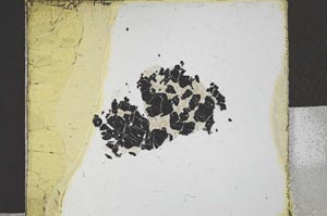 Plane Polarized, S27108