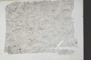 Plane Polarized, S27111/b