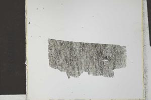Plane Polarized, S27129