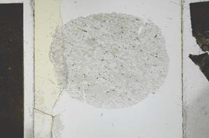 Plane Polarized, S27130