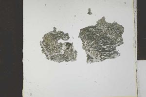 Plane Polarized, S27133