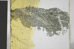 Plane Polarized, S27133/A